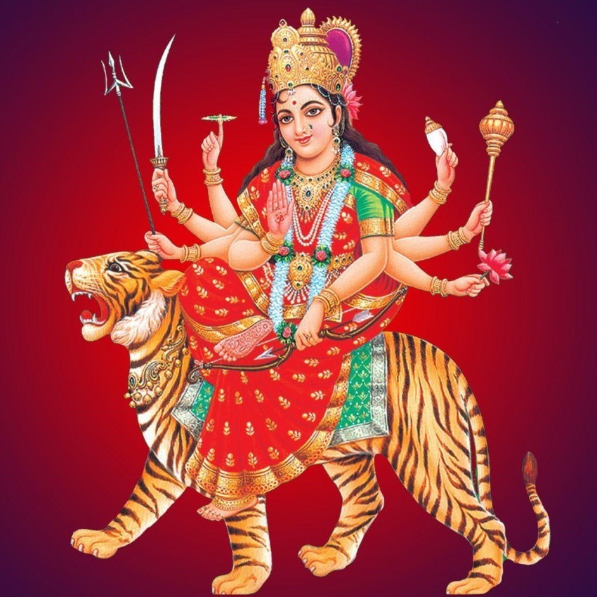Astrologer in vashi, Navi Mumbai 